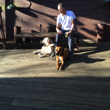 Ignored by dogs Ignored by dogs